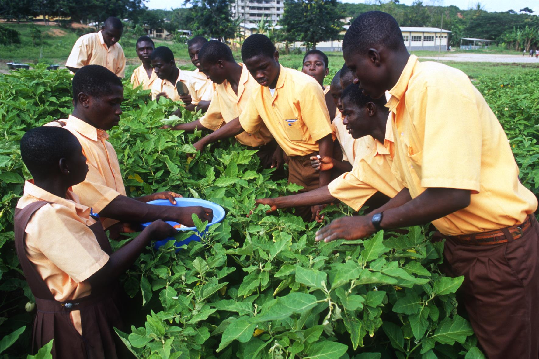 Groupe de jeunes participant à un programme de formation.